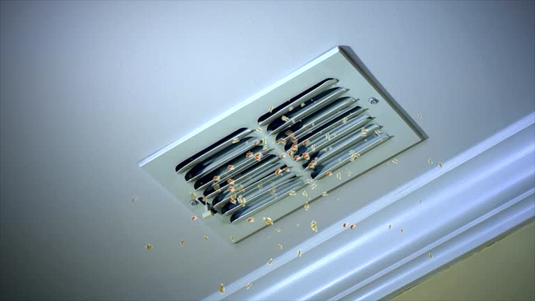 Best Affordable HVAC Duct Cleaning  in Dunlap, TN
