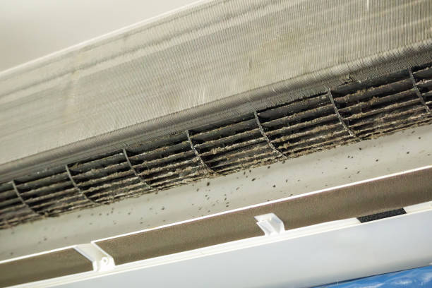 Best Ductwork Cleaning Services  in Dunlap, TN